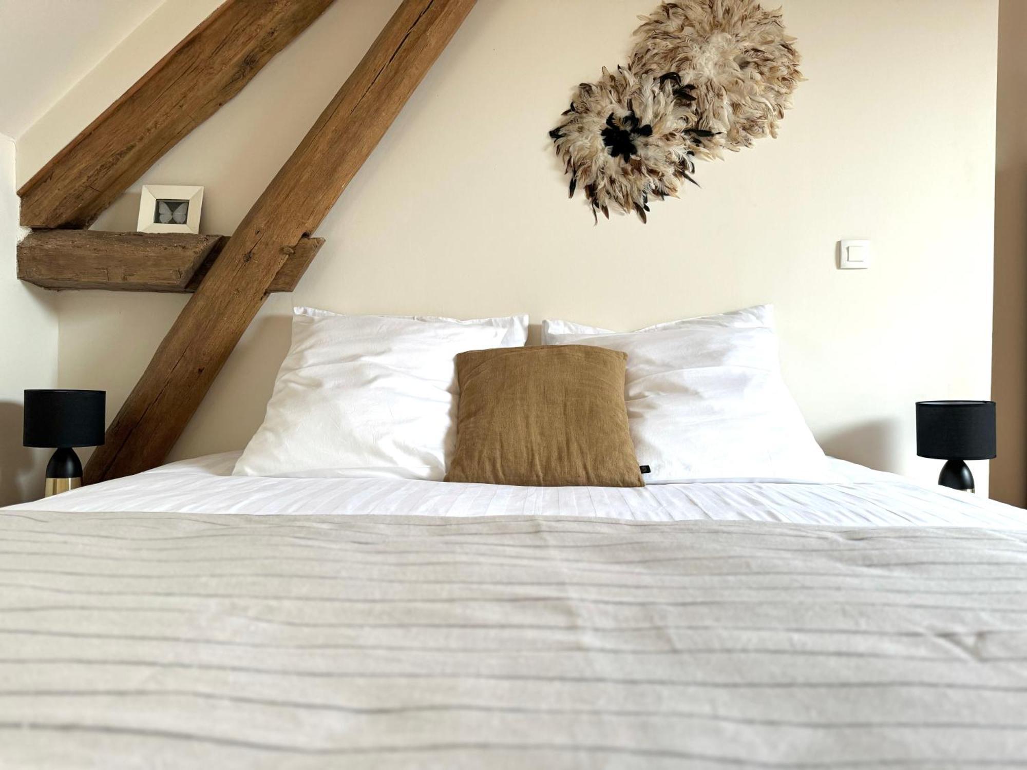 Bed and Breakfast Le Moulin D Olivet Orbigny Zewnętrze zdjęcie