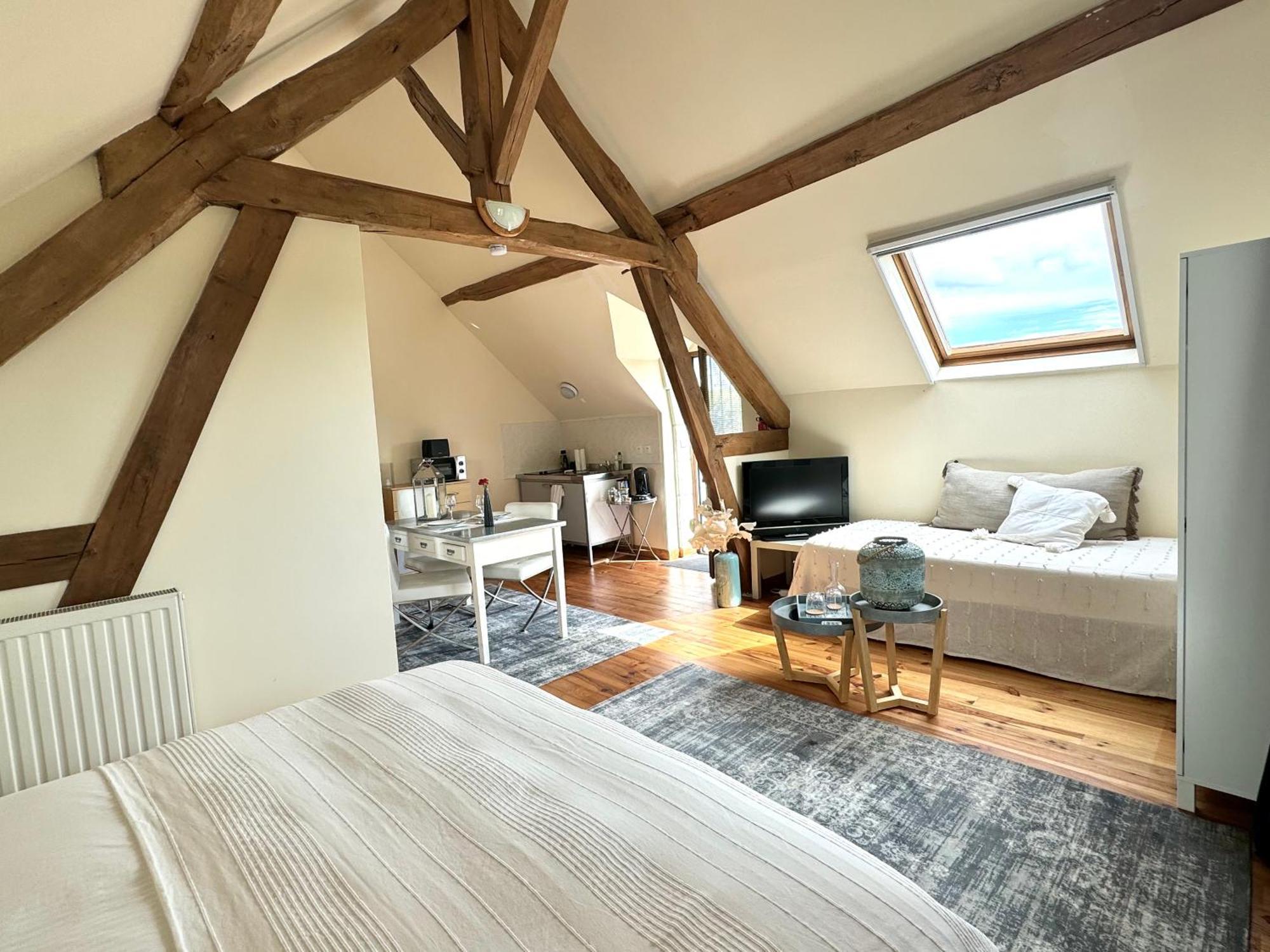 Bed and Breakfast Le Moulin D Olivet Orbigny Zewnętrze zdjęcie