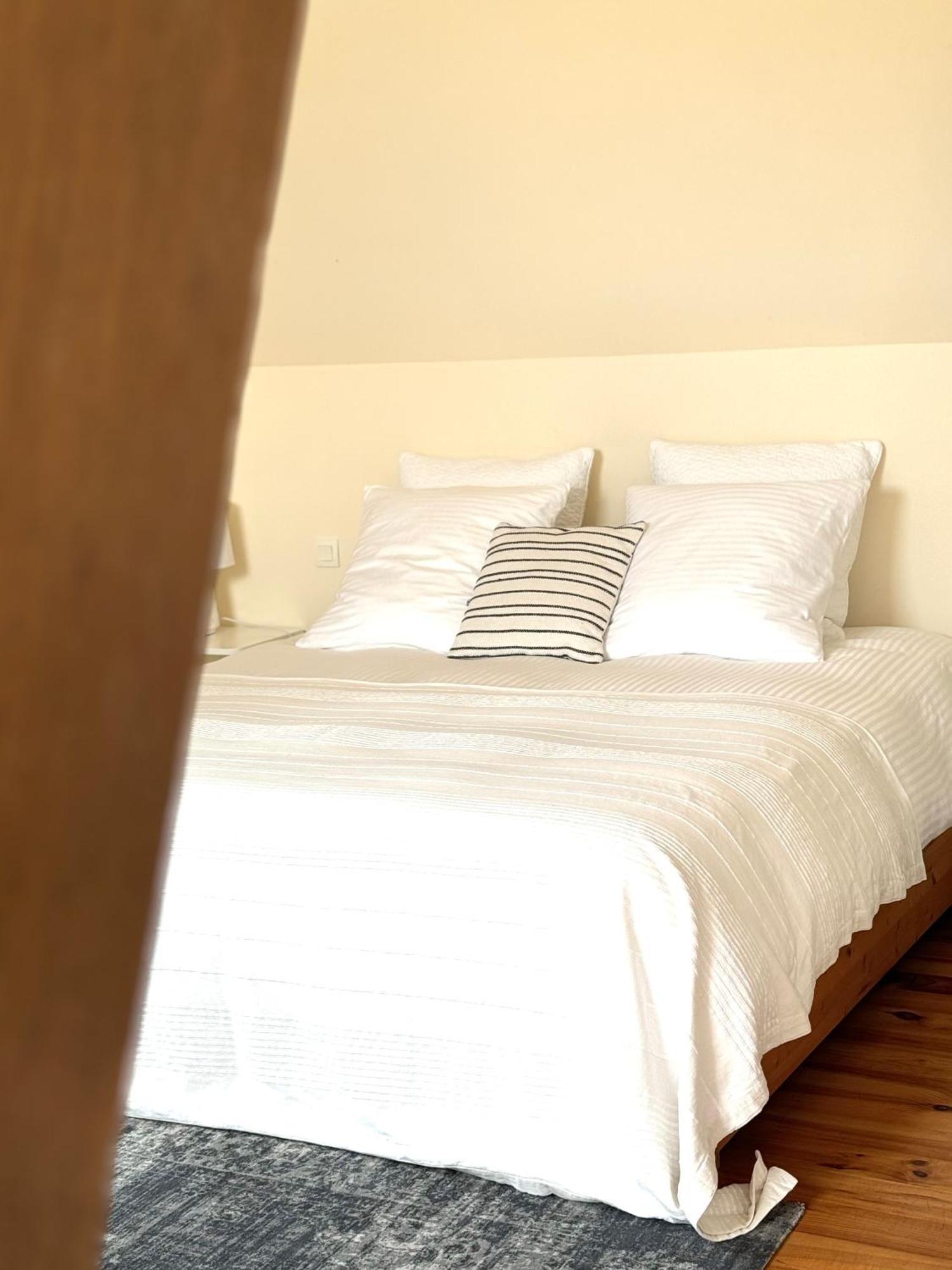 Bed and Breakfast Le Moulin D Olivet Orbigny Zewnętrze zdjęcie