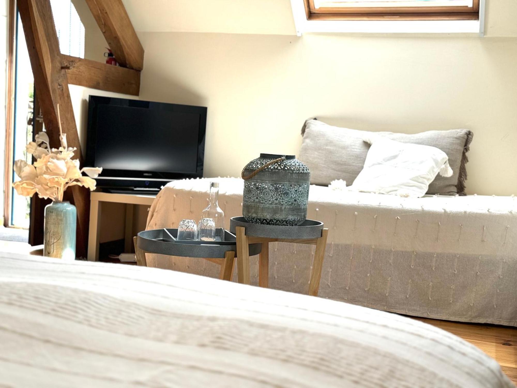 Bed and Breakfast Le Moulin D Olivet Orbigny Zewnętrze zdjęcie