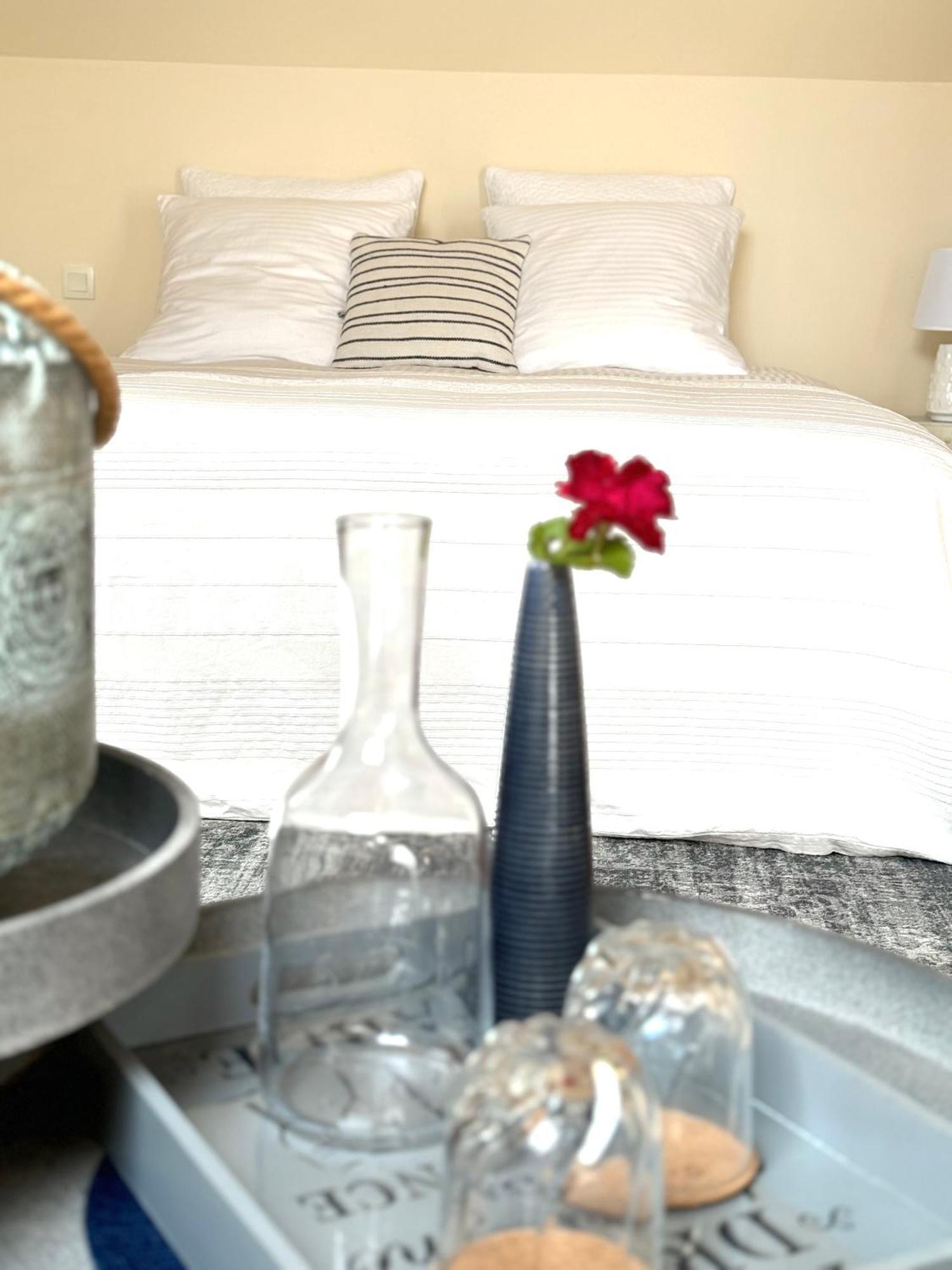Bed and Breakfast Le Moulin D Olivet Orbigny Zewnętrze zdjęcie