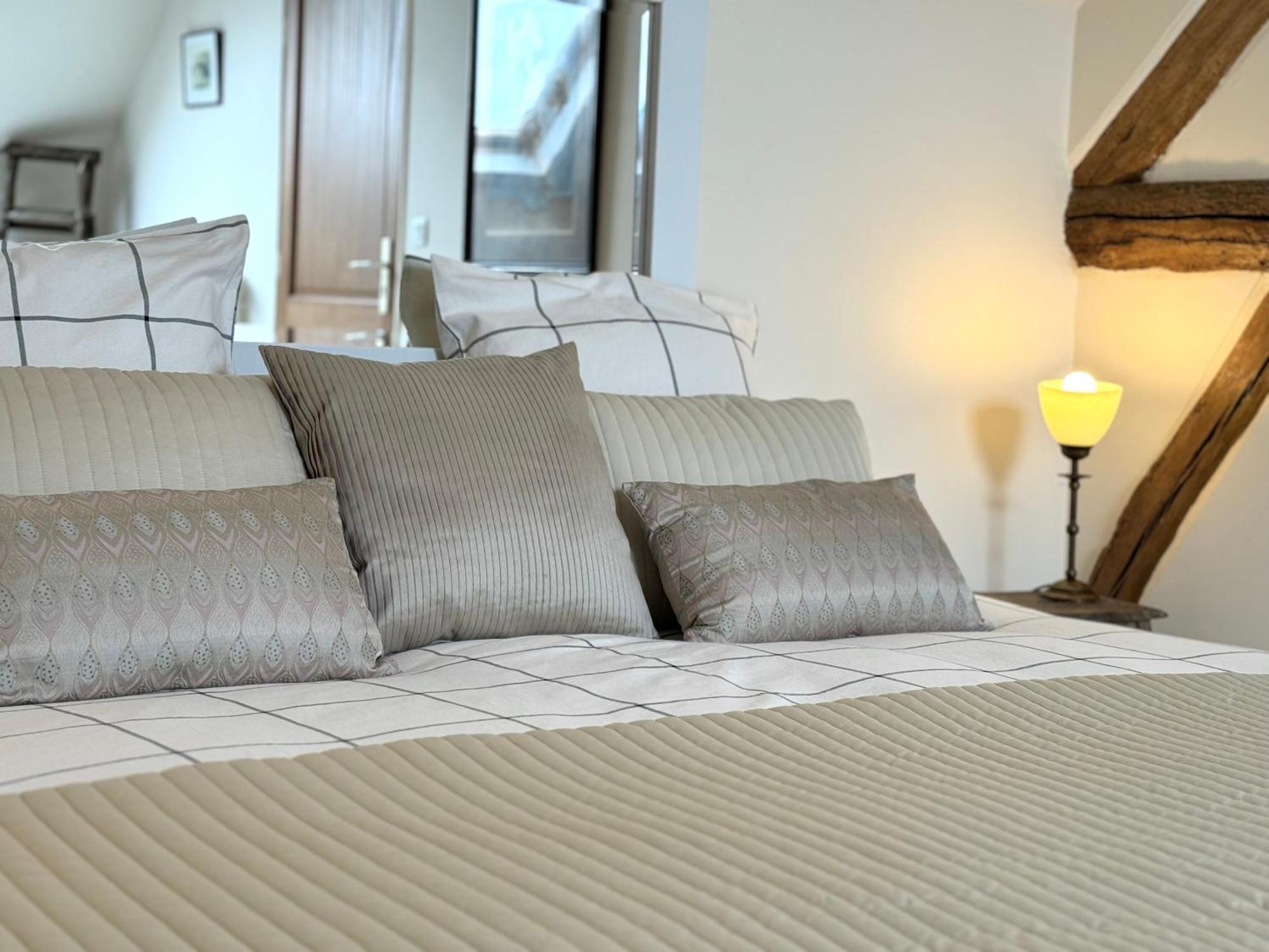 Bed and Breakfast Le Moulin D Olivet Orbigny Zewnętrze zdjęcie