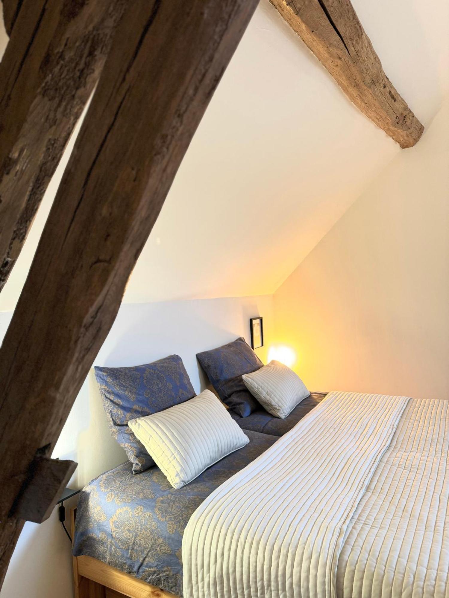 Bed and Breakfast Le Moulin D Olivet Orbigny Zewnętrze zdjęcie